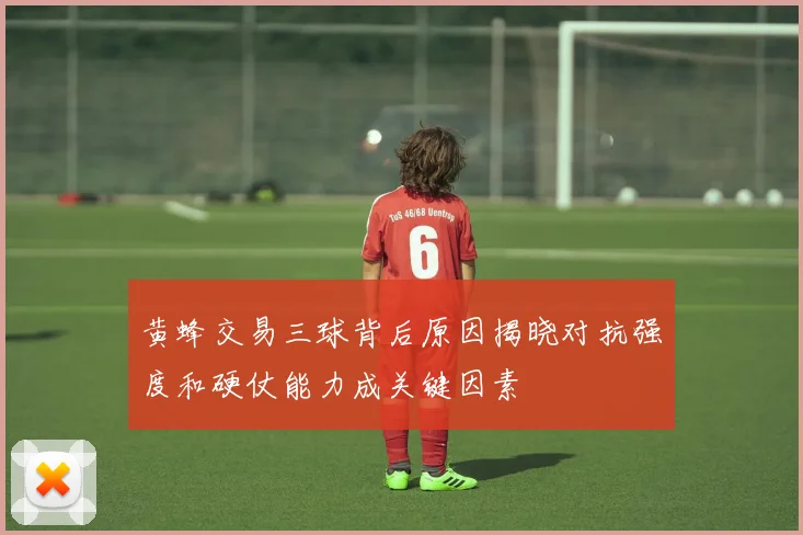 黄蜂交易三球背后原因揭晓对抗强度和硬仗能力成关键因素